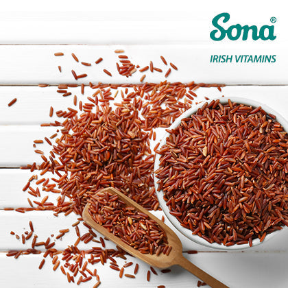Maintain healthy blood cholesterol levels