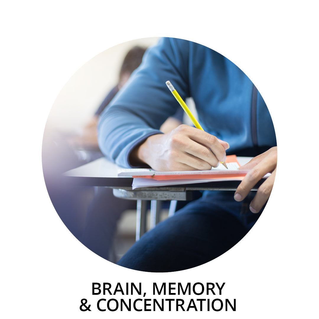  Brain, Memory & Concentration