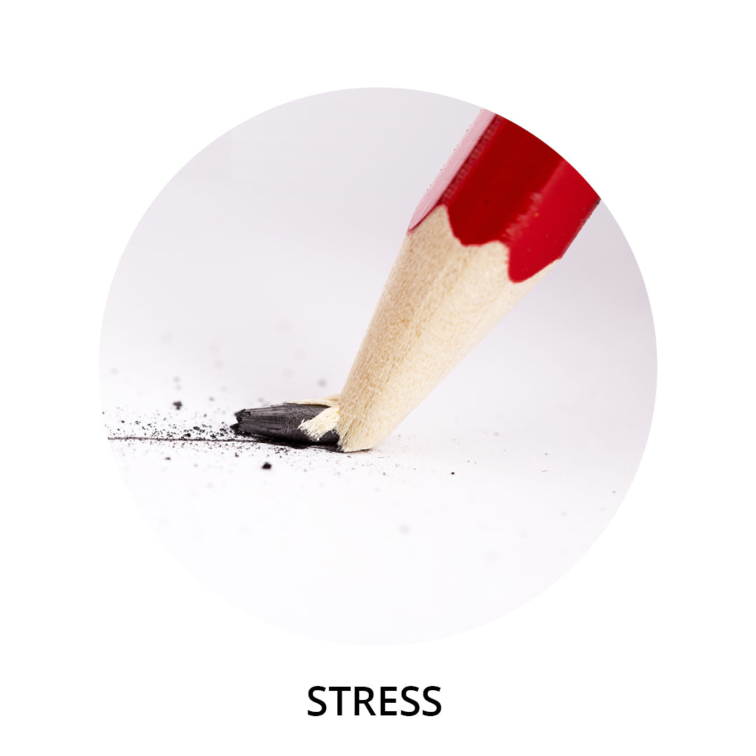  Stress