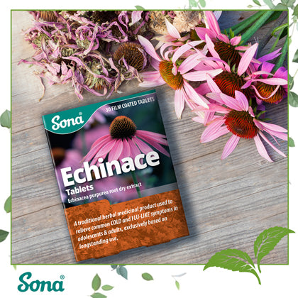 Echinacea: Nature's remedy for cold and flu