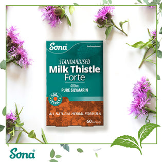  What Are The Benefits Of Taking Milk Thistle?