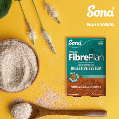 Are Fibre Supplements a Healthy Substitute for Dietary Fibre?